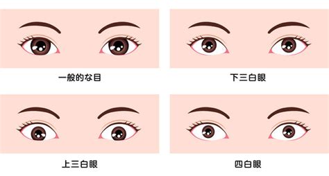 桃花眼 三白眼|【あなたはどれ？】目の形の種類＆見分け方をご紹介！半開き・。